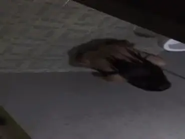 Dokumentasi Gadis Cantik Live Kasur Mandi